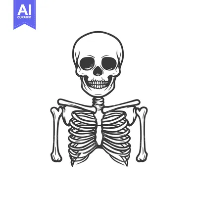 Aset desain premium: Simple Illustration Depicting Human Skeletal Structure Against White B