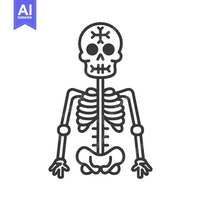 Aset desain premium: An illustrated black line skeleton graphic with skull and decorated fe