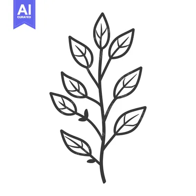 Popular premium asset: A simple drawing of a leafy plant stem with delicate leaves