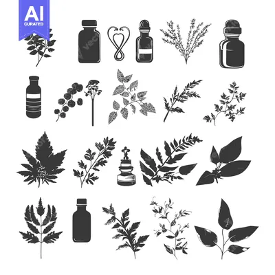 Premium design asset: Botanical Silhouettes with Essential Oil Bottles