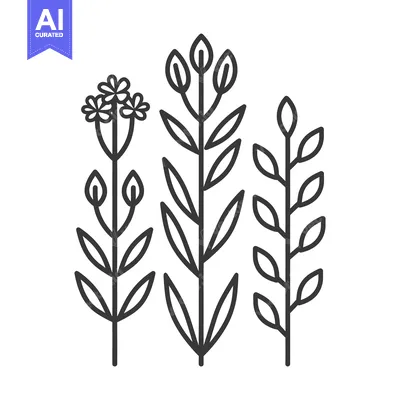 Aset premium populer: Simple black line art representation of various flowering plants