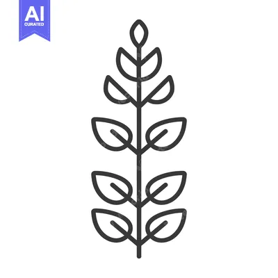 Popular premium asset: A simple illustration of a plant stem with many leaves