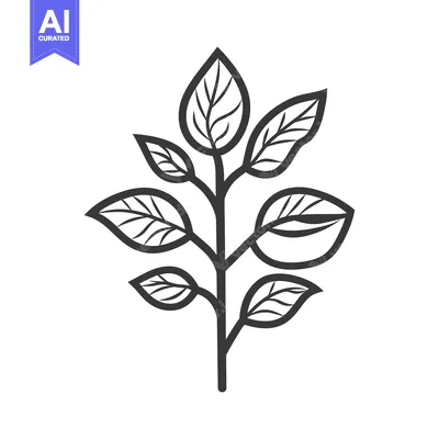 Premium design asset: Simple vector illustration of a plant with multiple leaves
