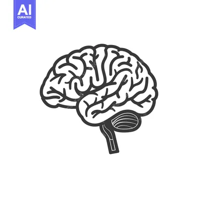 Aset desain premium: A simple illustration showing the structure of the human brain