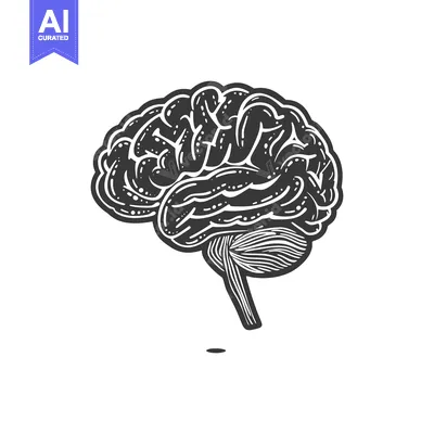 Aset desain premium: A black and white illustration depicting a human brain structure