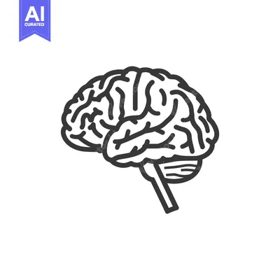 Aset premium populer: Simple illustration showing a human brain in side profile view