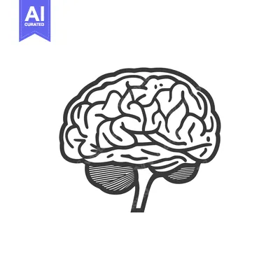 A simple illustration depicting the human brain in a graphic style