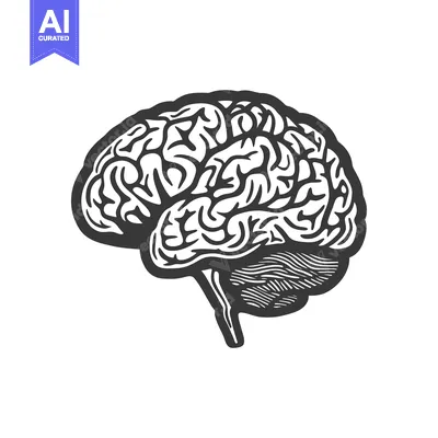Aset premium populer: An illustrative depiction of a human brain in side profile