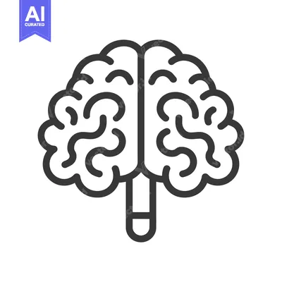 Premium design asset: Black and white illustration of the human brain organ