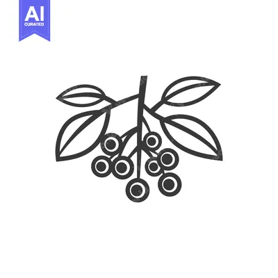 Popular premium asset: Branch of berries with leaves in outline