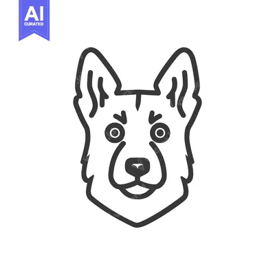 Popular premium asset: A graphic line drawing illustrates the front view of a dog face