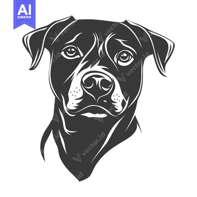 Aset premium populer: A monochrome portrait depicting a dog looking directly at the viewer