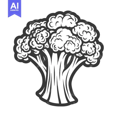 Popular premium asset: An isolated black and white stylized image of a broccoli floret