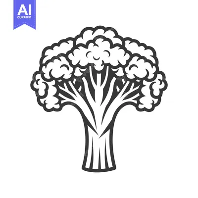 Premium design asset: A simple graphic depiction of a nutritious cauliflower plant