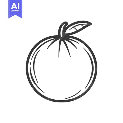 Aset premium populer: A simple black and white illustration of a single orange fruit