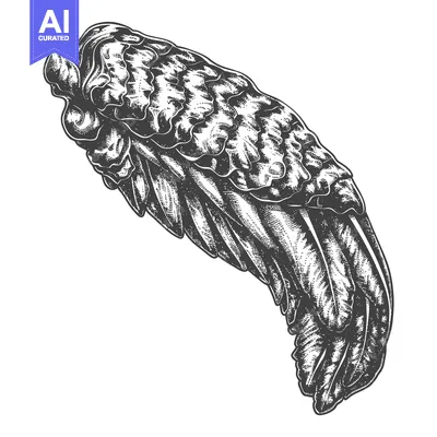 Aset premium populer: Detailed Ink Drawing Of A Birds Wing