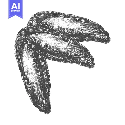 Aset premium populer: Two Detailed Drawings Of Chicken Wings