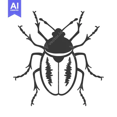 Premium design asset: Simple monochrome graphic depiction of a beetle with detail
