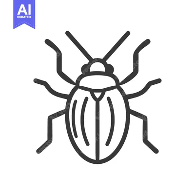 Aset desain premium: A stylized black line drawing depicting an insect bug