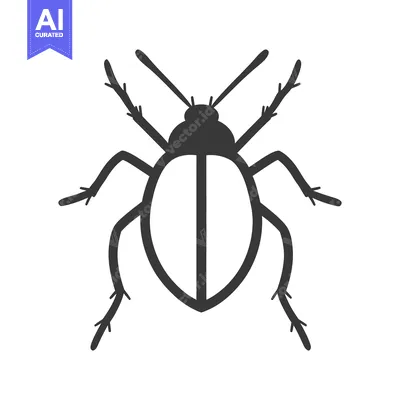 Popular premium asset: An outlined graphical depiction of an insect on a white background