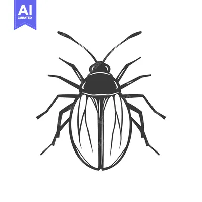Aset premium populer: A detailed grayscale illustration of a six legged insect creature