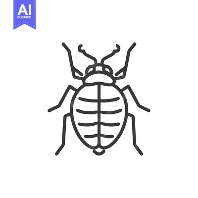 Aset premium populer: Minimalist Line Art: Detailed Bed Bug Illustration on White Background