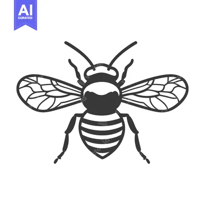 Aset premium populer: A detailed overhead black and white illustration of a honeybee