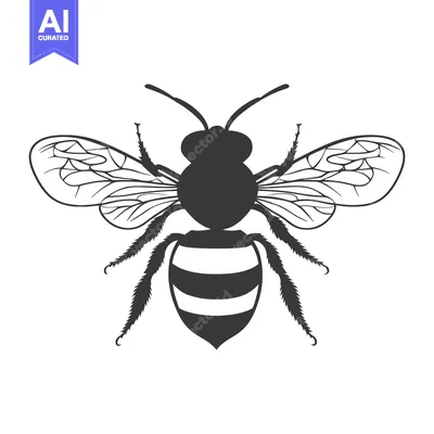 Aset premium populer: A black and white vector illustration of a flying honey bee