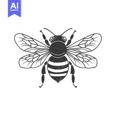 Popular premium asset: A simple illustration of a striped bee with detailed wings