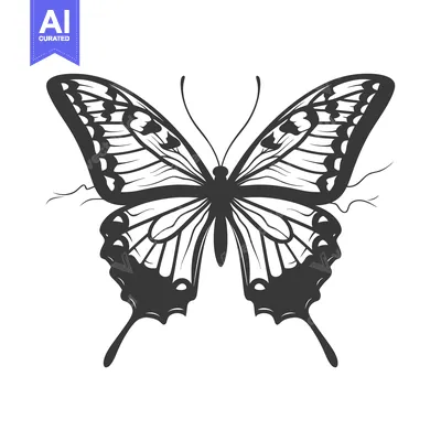 Premium design asset: A symmetrical black and white drawing of a butterfly insect