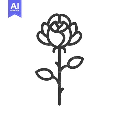 Aset premium populer: Simple linear illustration depicting a rose flower with leaves and ste