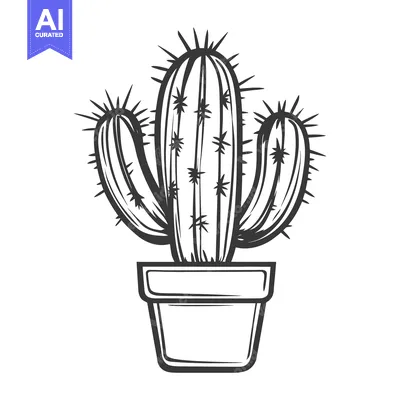 Popular premium asset: A potted cactus illustration showcasing sharp needles and graphic line
