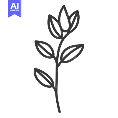 Premium design asset: Simple black and white line art drawing of a plant stem