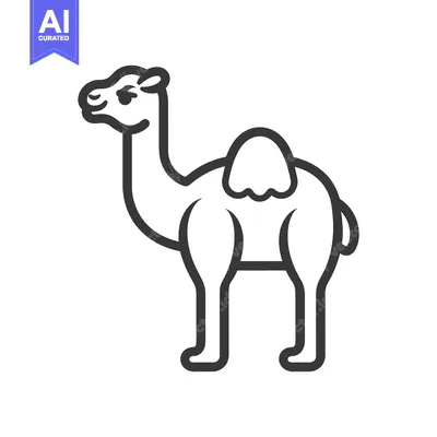 Popular premium asset: A black outline drawing shows a standing camel animal