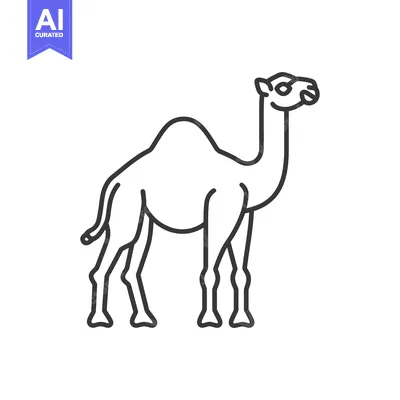 Aset desain premium: A standing camel illustration with clean lines and a white background
