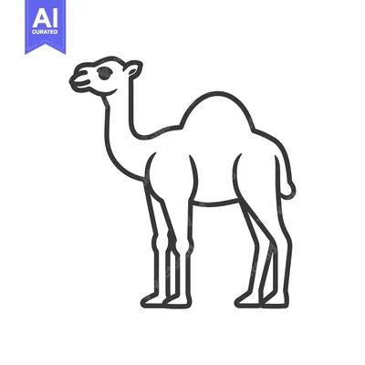 Popular premium asset: A line drawing of a one humped dromedary camel