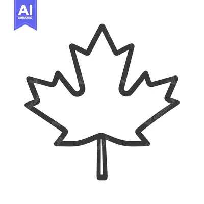 Aset desain premium: A simple monochrome drawing of a maple leaf symbol