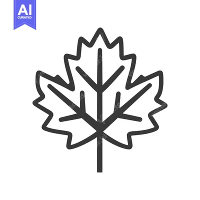 Aset premium populer: A simple graphic outline of a stylized maple leaf design