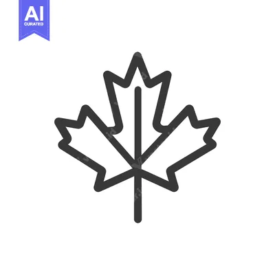 Popular premium asset: An Outline Illustration Depicting the Shape of a Leaf