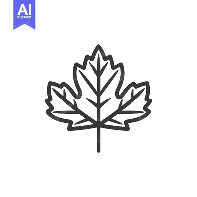 Aset desain premium: A black outlined graphic of a stylized leaf illustration