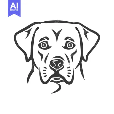 Aset premium populer: A Simple Graphic Illustration Depicting the Face of a Dog