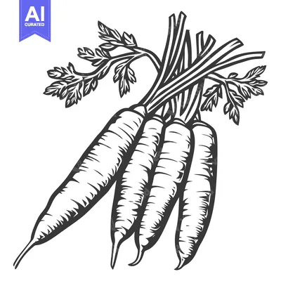 Aset premium populer: Four carrots with green stems and leaves are shown together