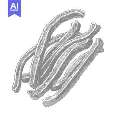 Aset premium populer: A Detailed Illustration of Crispy Churros