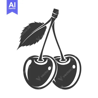 Aset premium populer: Two dark cherries with a leaf against a white background