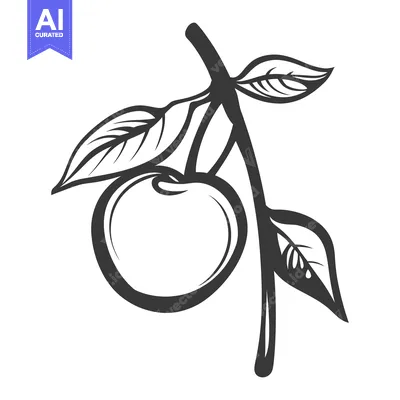 Popular premium asset: A single piece of fruit hangs on a branch with leaves