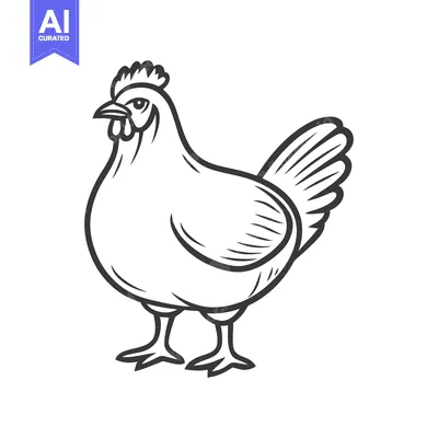 Aset premium populer: A black and white image of a standing hen bird