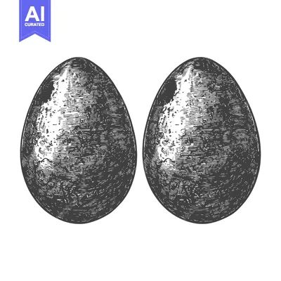 Aset desain premium: Two Detailed Engraved Bird Eggs Illustration