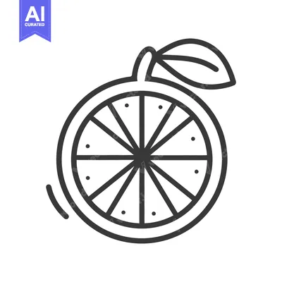 Aset desain premium: Simple black and white drawing of a sliced citrus fruit