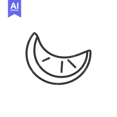 Aset premium populer: A simple line drawing representing a citrus fruit slice