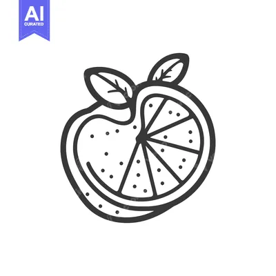 Popular premium asset: Simple black and white illustration of sliced citrus fruit with leaves